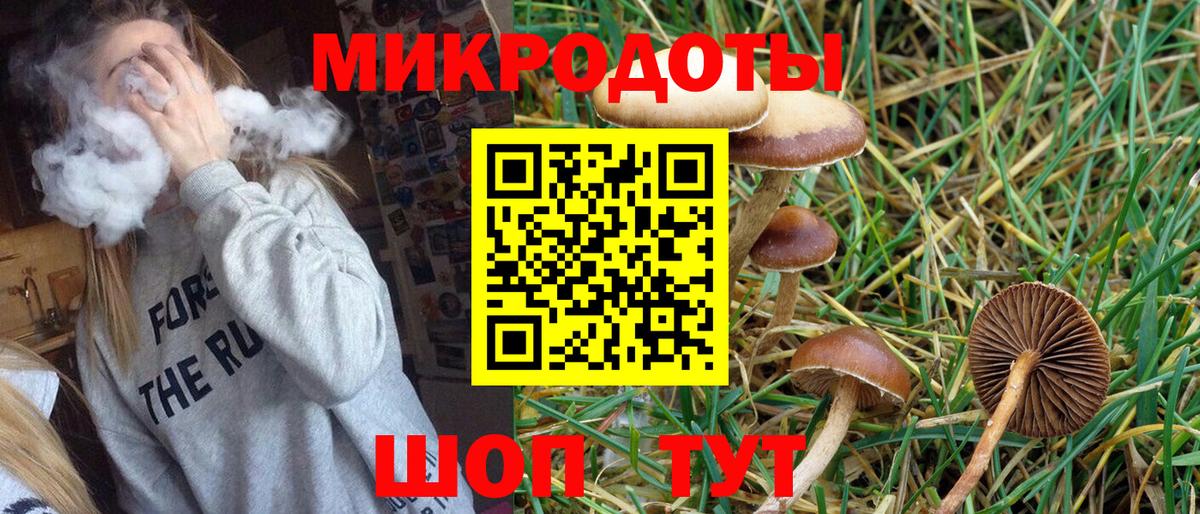 Псилоцибиновые грибы Psilocybe  Галлюциногенные грибы мицелий  Вход с VPN  Похвистнево 