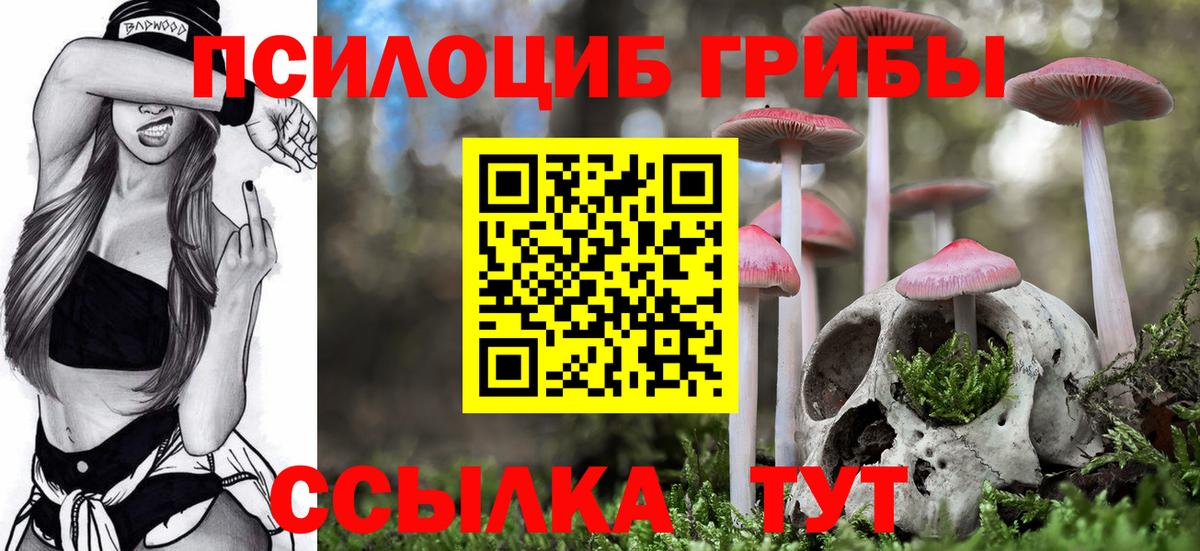 Псилоцибиновые грибы Cubensis Похвистнево